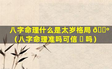 八字命理什么是太岁格局 🌺 （八字命理准吗可信 ☘ 吗）